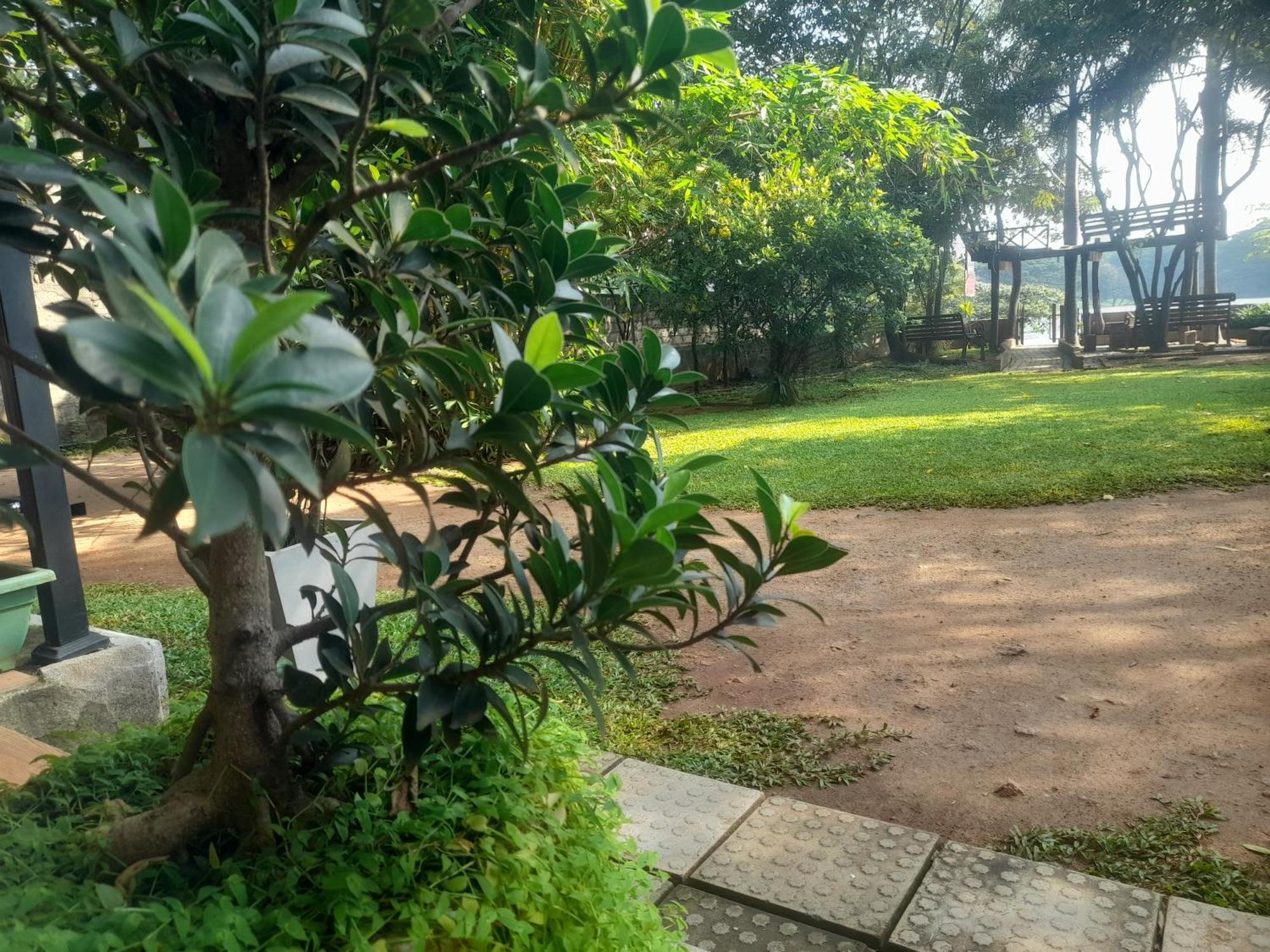 Shashin Lake Resort Dambulla Bagian luar foto